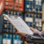 A Beginner’s Guide to Customs Clearance in Indonesia
